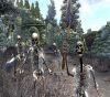 ElderScrollsIVOblivion 74